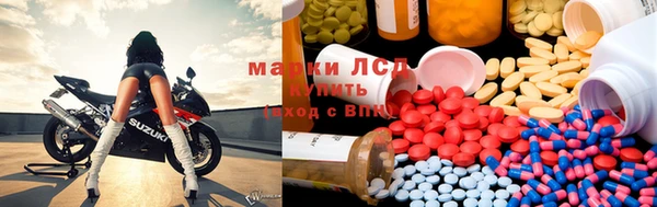 PSILOCYBIN Абаза