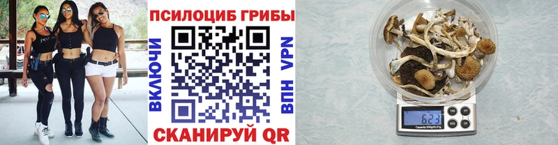 MEGA ссылка купить Прокопьевск Галлюциногенные грибы GOLDEN TEACHER