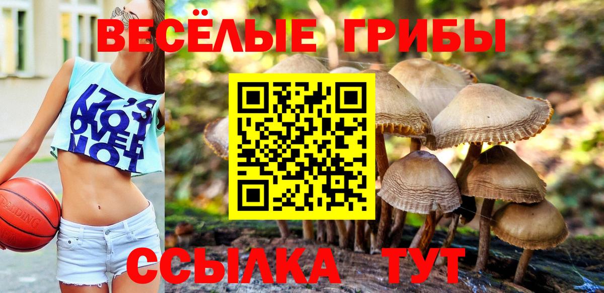 Галлюциногенные грибы Psilocybine cubensis  Вход с VPN  Псилоцибиновые грибы Psilocybe  Прокопьевск 