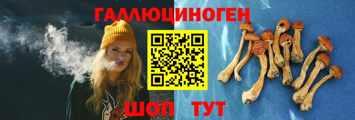 Псилоцибиновые грибы MAGIC MUSHROOMS Прокопьевск